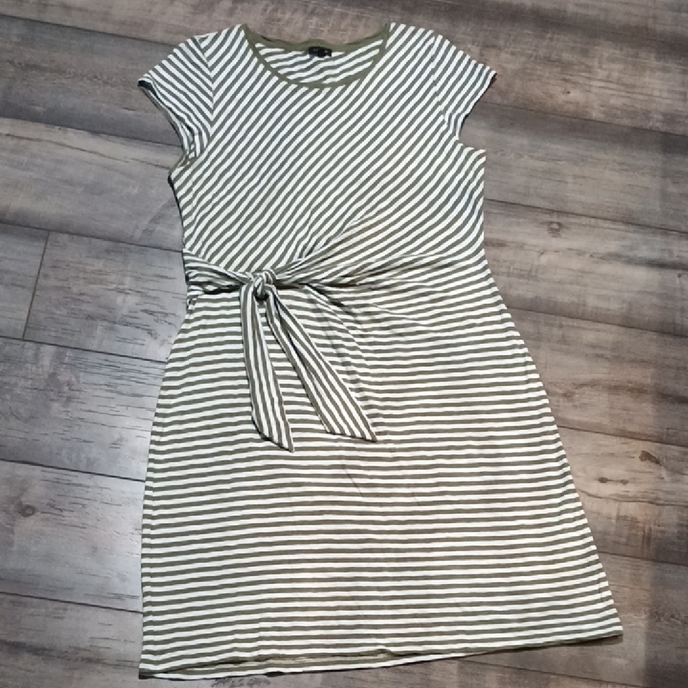 Talbots Olive and White Striped Mini Dress